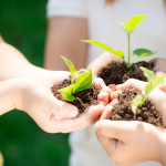 Children holding young plant in hands against spring green background. Ecology concept. Earth day