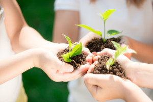 Children holding young plant in hands against spring green background. Ecology concept. Earth day