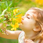 Little girl smells flower