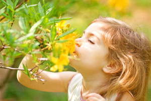 Little girl smells flower